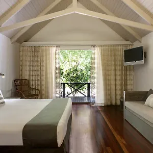 Palm Australia